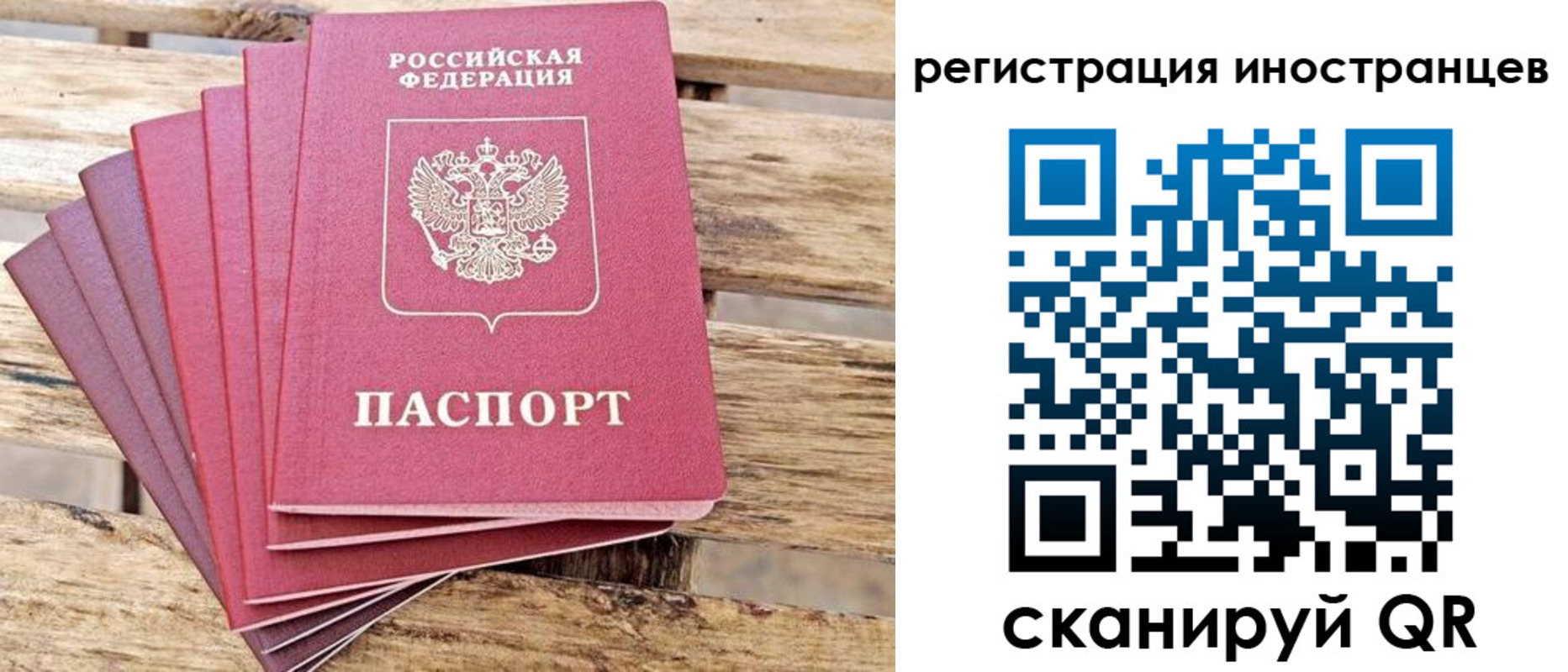 временная прописка в Коле